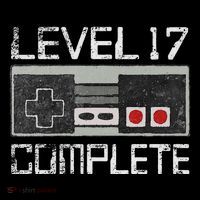 Level 17 Complete 17 Year 17th Wedding Anniversary Women's V-Neck T-Shirt