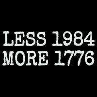 Less 1984 More 1776 Freedom Usa Save America Constitution T Flat Bill Trucker Hat