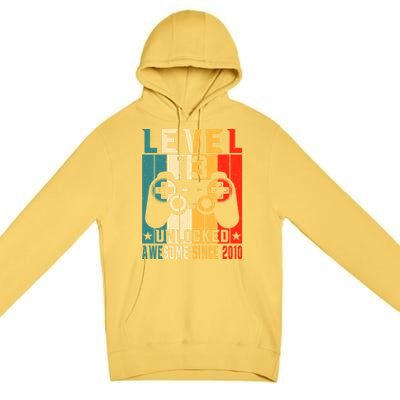 Level 13 Unlocked Awesome Since 2010 13th Birthday Gamer Gift Premium Pullover Hoodie