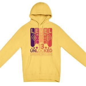 Level 13 Unlocked Birthday Gamer Cute Gift Premium Pullover Hoodie