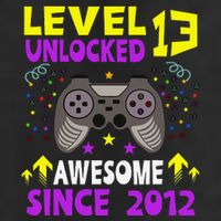 Level 13 Unlocked Awesome Since 2012 13th Birthday Gaming Adult Drive Performance Visor