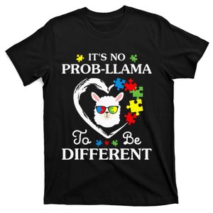 Llama Autism Awareness Gift Be A Little Different T-Shirt