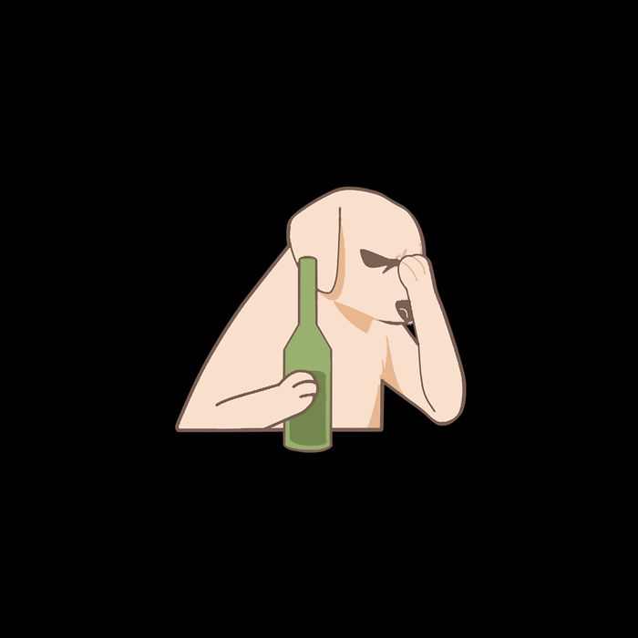 LMPZTEEZAlcohol And Bad Decisions City Backpack
