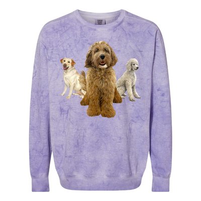 Labradoodle Trio Colorblast Crewneck Sweatshirt