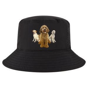 Labradoodle Trio Cool Comfort Performance Bucket Hat