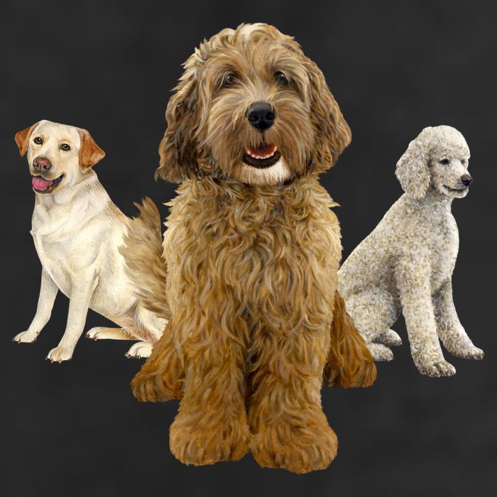Labradoodle Trio Cool Comfort Performance Bucket Hat