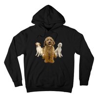 Labradoodle Trio Hoodie