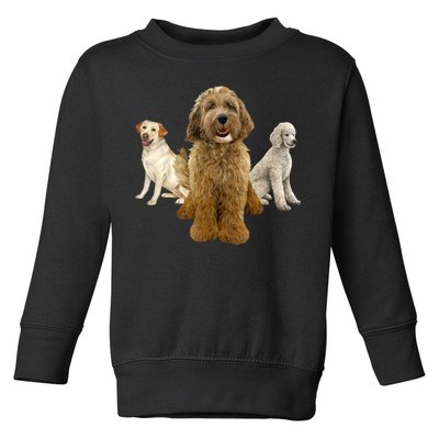 Labradoodle Trio Toddler Sweatshirt