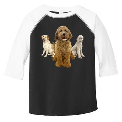 Labradoodle Trio Toddler Fine Jersey T-Shirt