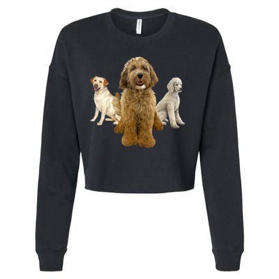 Labradoodle Trio Cropped Pullover Crew