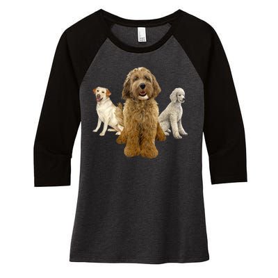 Labradoodle Trio Women's Tri-Blend 3/4-Sleeve Raglan Shirt