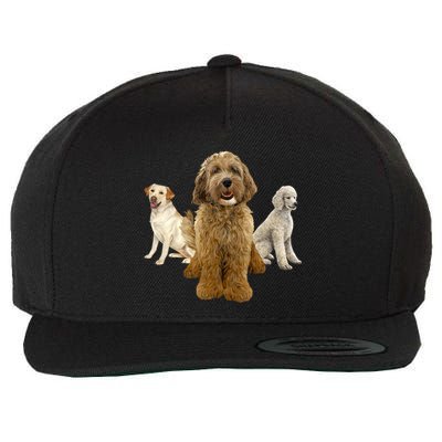 Labradoodle Trio Wool Snapback Cap