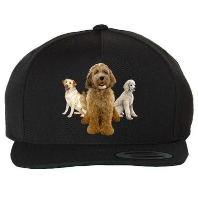 Labradoodle Trio Wool Snapback Cap