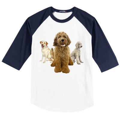 Labradoodle Trio Baseball Sleeve Shirt