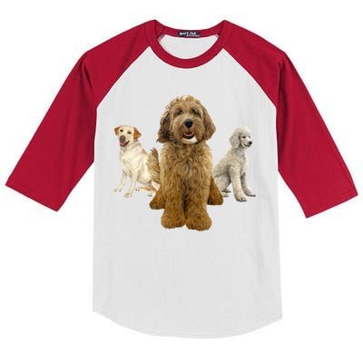 Labradoodle Trio Kids Colorblock Raglan Jersey