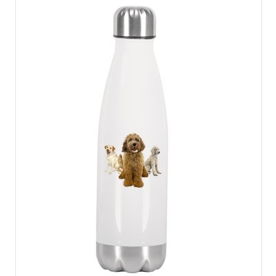 Labradoodle Trio Stainless Steel Insulated Water Bottle