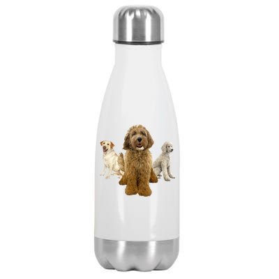 Labradoodle Trio Stainless Steel Insulated Water Bottle