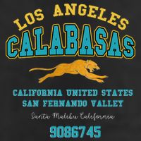 Los Angeles Calabasas 7 Panel Mesh Trucker Snapback Hat