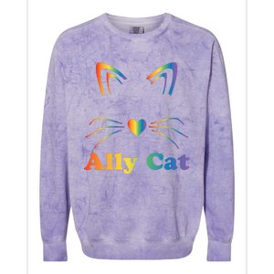 LGBTQ + Ally Cat LGBTQ Ally Cat Pride Colorblast Crewneck Sweatshirt