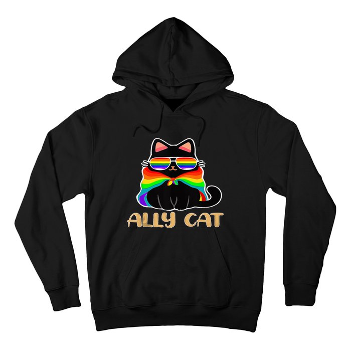 LGBT Ally Cat Be Kind Gay Rainbow Funny LGBTQ Gift Idea Hoodie