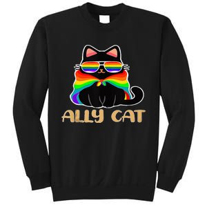 LGBT Ally Cat Be Kind Gay Rainbow Funny LGBTQ Gift Idea Sweatshirt