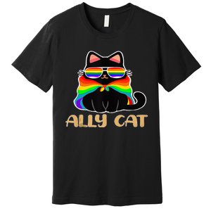 LGBT Ally Cat Be Kind Gay Rainbow Funny LGBTQ Gift Idea Premium T-Shirt