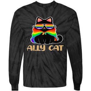 LGBT Ally Cat Be Kind Gay Rainbow Funny LGBTQ Gift Idea Tie-Dye Long Sleeve Shirt