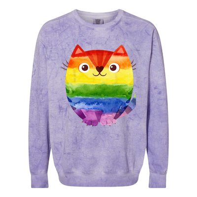 LGBT Allied Cat Be Kind Gay Rainbow Funny LGBTQ Colorblast Crewneck Sweatshirt