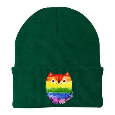 LGBT Allied Cat Be Kind Gay Rainbow Funny LGBTQ Knit Cap Winter Beanie