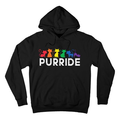 Lgbt Ally Cat Kitten Be Kind Gay Rainbow Funny Lgbtq Hoodie