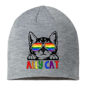 LGBT Ally Cat Be Kind Gay Rainbow Funny LGBTQ Gift Idea Sustainable Beanie