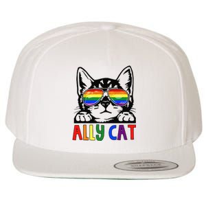 LGBT Ally Cat Be Kind Gay Rainbow Funny LGBTQ Gift Idea Wool Snapback Cap