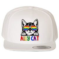 LGBT Ally Cat Be Kind Gay Rainbow Funny LGBTQ Gift Idea Wool Snapback Cap