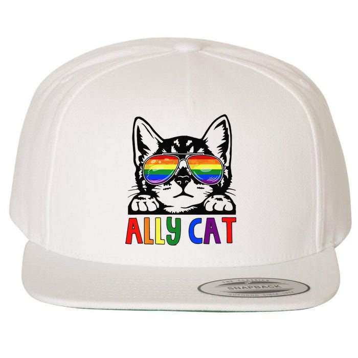 LGBT Ally Cat Be Kind Gay Rainbow Funny LGBTQ Gift Idea Wool Snapback Cap