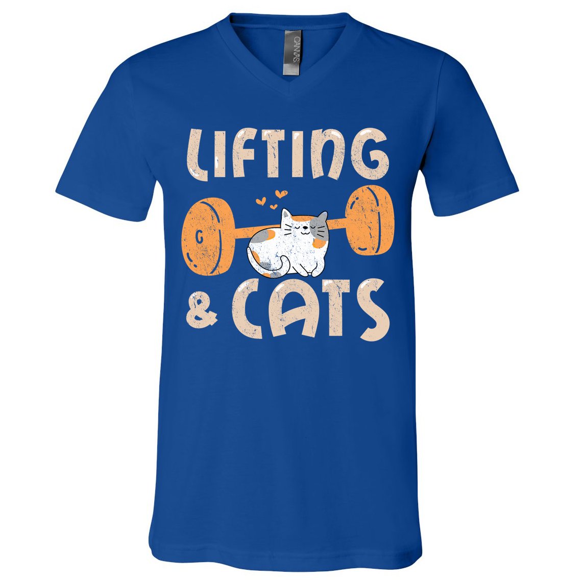 Lifting And Cats Funny Cat Lovers Gym Funny Weightlifting Cute Gift V-Neck T-Shirt