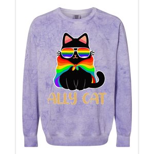 LGBT Ally Cat Be Kind Gay Rainbow Funny LGBTQ Gift Idea Colorblast Crewneck Sweatshirt