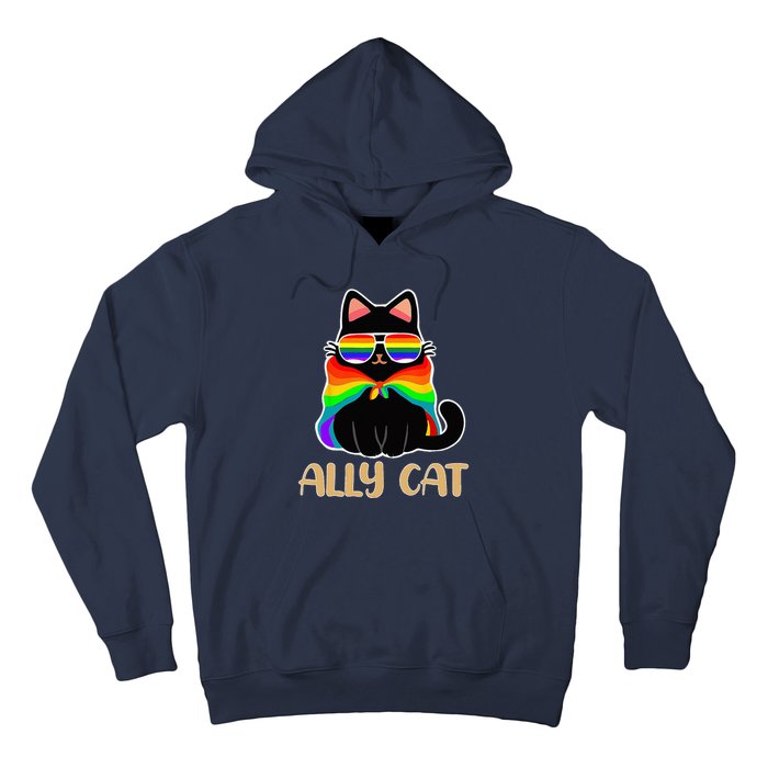 LGBT Ally Cat Be Kind Gay Rainbow Funny LGBTQ Gift Idea Hoodie