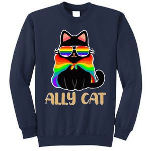 LGBT Ally Cat Be Kind Gay Rainbow Funny LGBTQ Gift Idea Sweatshirt