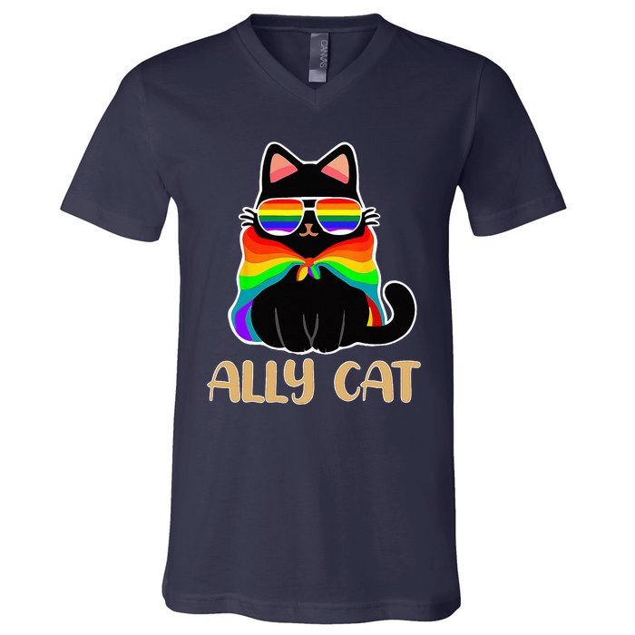 LGBT Ally Cat Be Kind Gay Rainbow Funny LGBTQ Gift Idea V-Neck T-Shirt