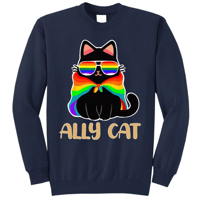 LGBT Ally Cat Be Kind Gay Rainbow Funny LGBTQ Gift Idea Tall Sweatshirt