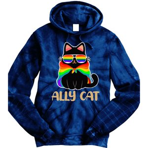 LGBT Ally Cat Be Kind Gay Rainbow Funny LGBTQ Gift Idea Tie Dye Hoodie