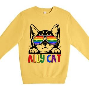 LGBT Ally Cat Be Kind Gay Rainbow Funny LGBTQ Gift Idea Premium Crewneck Sweatshirt