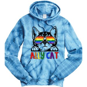 LGBT Ally Cat Be Kind Gay Rainbow Funny LGBTQ Gift Idea Tie Dye Hoodie