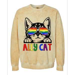 LGBT Ally Cat Be Kind Gay Rainbow Funny LGBTQ Gift Idea Colorblast Crewneck Sweatshirt