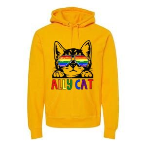 LGBT Ally Cat Be Kind Gay Rainbow Funny LGBTQ Gift Idea Premium Hoodie