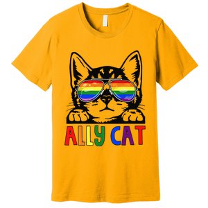 LGBT Ally Cat Be Kind Gay Rainbow Funny LGBTQ Gift Idea Premium T-Shirt