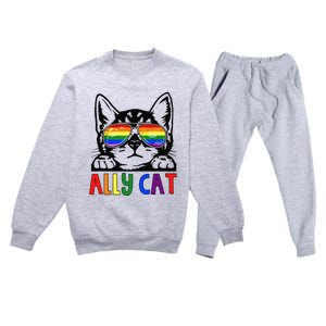 LGBT Ally Cat Be Kind Gay Rainbow Funny LGBTQ Gift Idea Premium Crewneck Sweatsuit Set