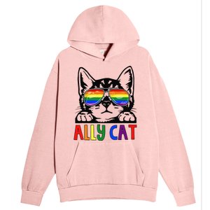 LGBT Ally Cat Be Kind Gay Rainbow Funny LGBTQ Gift Idea Urban Pullover Hoodie