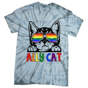 LGBT Ally Cat Be Kind Gay Rainbow Funny LGBTQ Gift Idea Tie-Dye T-Shirt