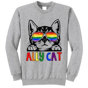 LGBT Ally Cat Be Kind Gay Rainbow Funny LGBTQ Gift Idea Sweatshirt